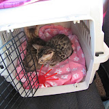 Macho and Niña Feb 2010