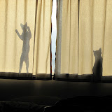 Making shadow puppets 2/21