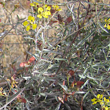 Close up, Unidentified on top of hill 5/8