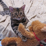 Niña loves her teddy bear 6/5