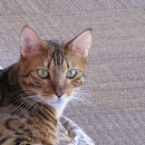 I turned one on Nov. 19, 2010
