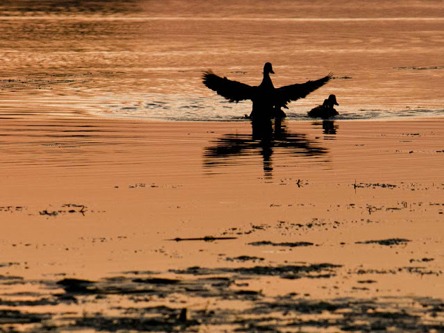 IMAGE: http://lh6.ggpht.com/_DRzrjyfDUmo/TFYOnWLKHjI/AAAAAAAAAaE/71-ugdbfLsk/s640/_MG_7407.JPG