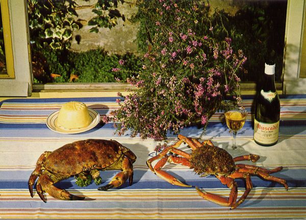 Cartes Postales Pop et  Kitsch des années 50, 70 et 70 - Pop and kitsch vintage postcards from the fifties, the sixties and the seventies : L'eau à la bouche ?