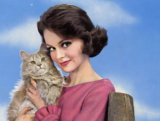 Cartes postales pop et kitsch des annéees 50, 70 et 70