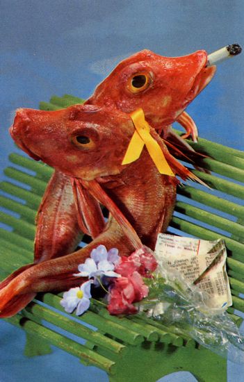 Cartes Postales Pop et  Kitsch des années 50, 70 et 70 - Pop and kitsch vintage postcards from the fifties, the sixties and the seventies : Poissons fumants / Smoking fishes