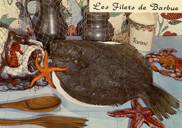 Cartes Postales Pop et  Kitsch des années 50, 70 et 70 - Pop and kitsch vintage postcards from the fifties, the sixties and the seventies : A table !? / Regrettable food
