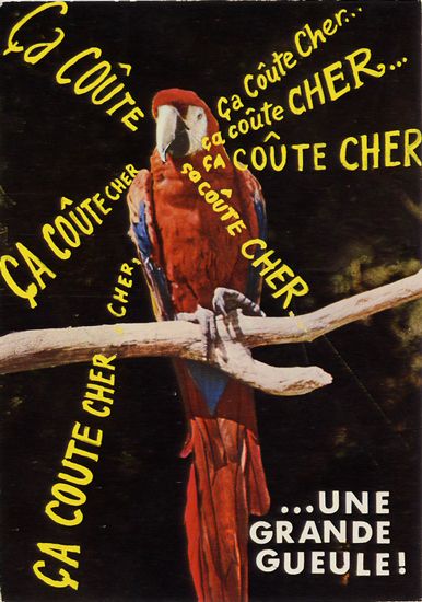 Cartes Postales Pop et  Kitsch des années 50, 70 et 70 - Pop and kitsch vintage postcards from the fifties, the sixties and the seventies : Rions avec les animaux