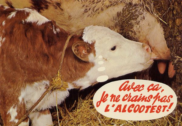 Cartes Postales Pop et  Kitsch des années 50, 70 et 70 - Pop and kitsch vintage postcards from the fifties, the sixties and the seventies : Rions avec les animaux