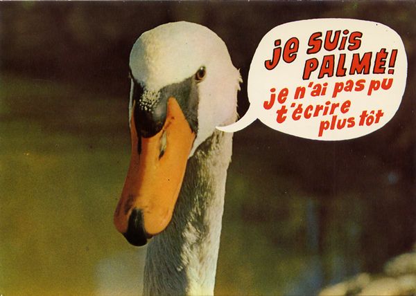 Cartes Postales Pop et  Kitsch des années 50, 70 et 70 - Pop and kitsch vintage postcards from the fifties, the sixties and the seventies : Rions avec les animaux