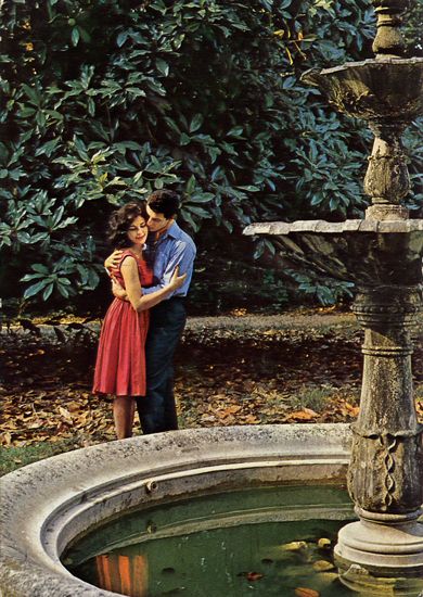 Cartes Postales Pop et  Kitsch des années 50, 70 et 70 - Pop and kitsch vintage postcards from the fifties, the sixties and the seventies : L'amour est dans le pré