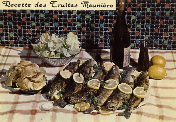 Cartes Postales Pop et  Kitsch des années 50, 70 et 70 - Pop and kitsch vintage postcards from the fifties, the sixties and the seventies : Divers délices