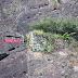 2009-10-05 武夷山漂流北线 190.JPG, 武夷山