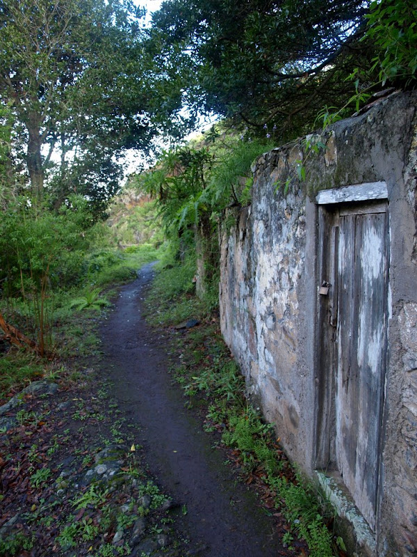 Foto de  Los Silos - cuevas negras - Las Moradas - Los Silos