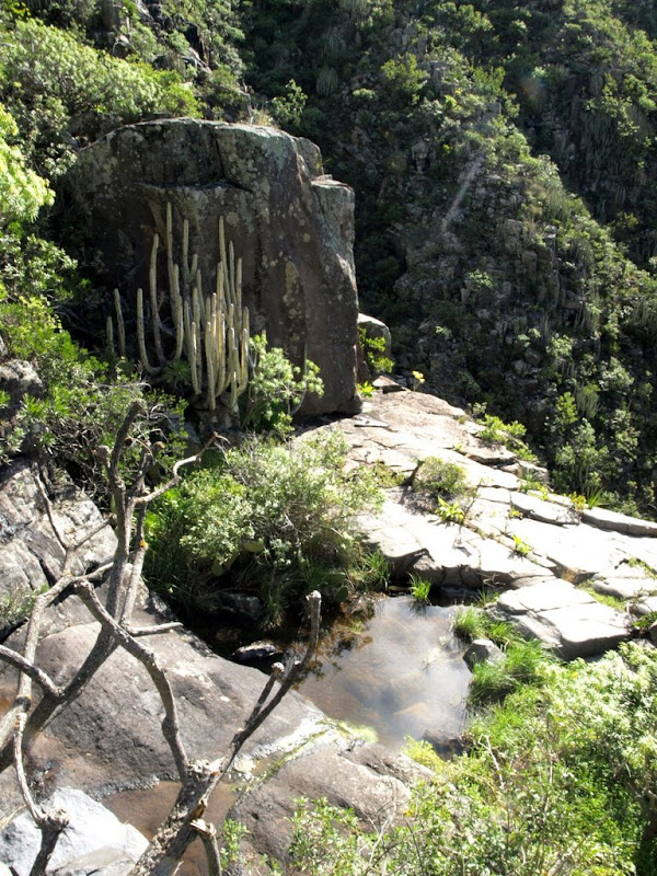 Foto de  Tenerife. Cueva Roja - Valle Jiménez - La cancelilla - Pico del Guirre - Valle Tahodio