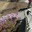 DSCN3398.JPG