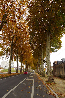 P1040123.JPG