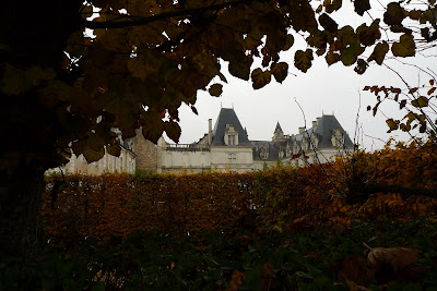 P1040159.JPG