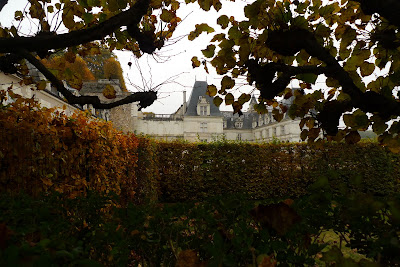 P1040160.JPG