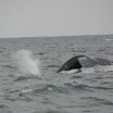 IMG_6855.JPG