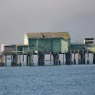IMG_6665.JPG