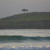IMG_6754.JPG