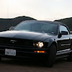IMG_0463.JPG