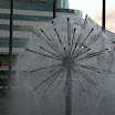 IMG_1507.JPG