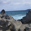 IMG_1842.JPG
