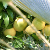 kroatien2005- 191.jpg