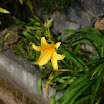 156_5609.JPG