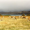 imm020-1.jpg