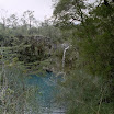 imm004-1.JPG
