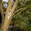 imm018-3.JPG