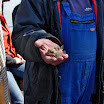 sylt-picasa_072.jpg
