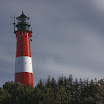 sylt-picasa_080.jpg