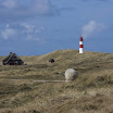 sylt-picasa_044.jpg