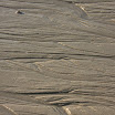 sylt-picasa_089.jpg