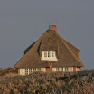 sylt-picasa_098.jpg