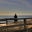 sylt-picasa_220.jpg