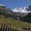 upload-suedtirol170.jpg