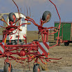 sylt-upload005.jpg