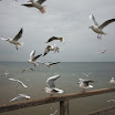 usedom08-53.jpg