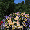 06-2009-bodensee-094.jpg