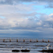 _MG_6629.JPG