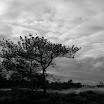 _MG_6660.JPG