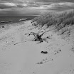 _MG_6671.JPG