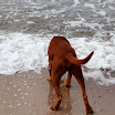 _MG_6683.JPG
