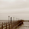 _MG_6857.JPG