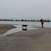 _MG_6918.JPG