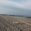 _MG_7038.JPG